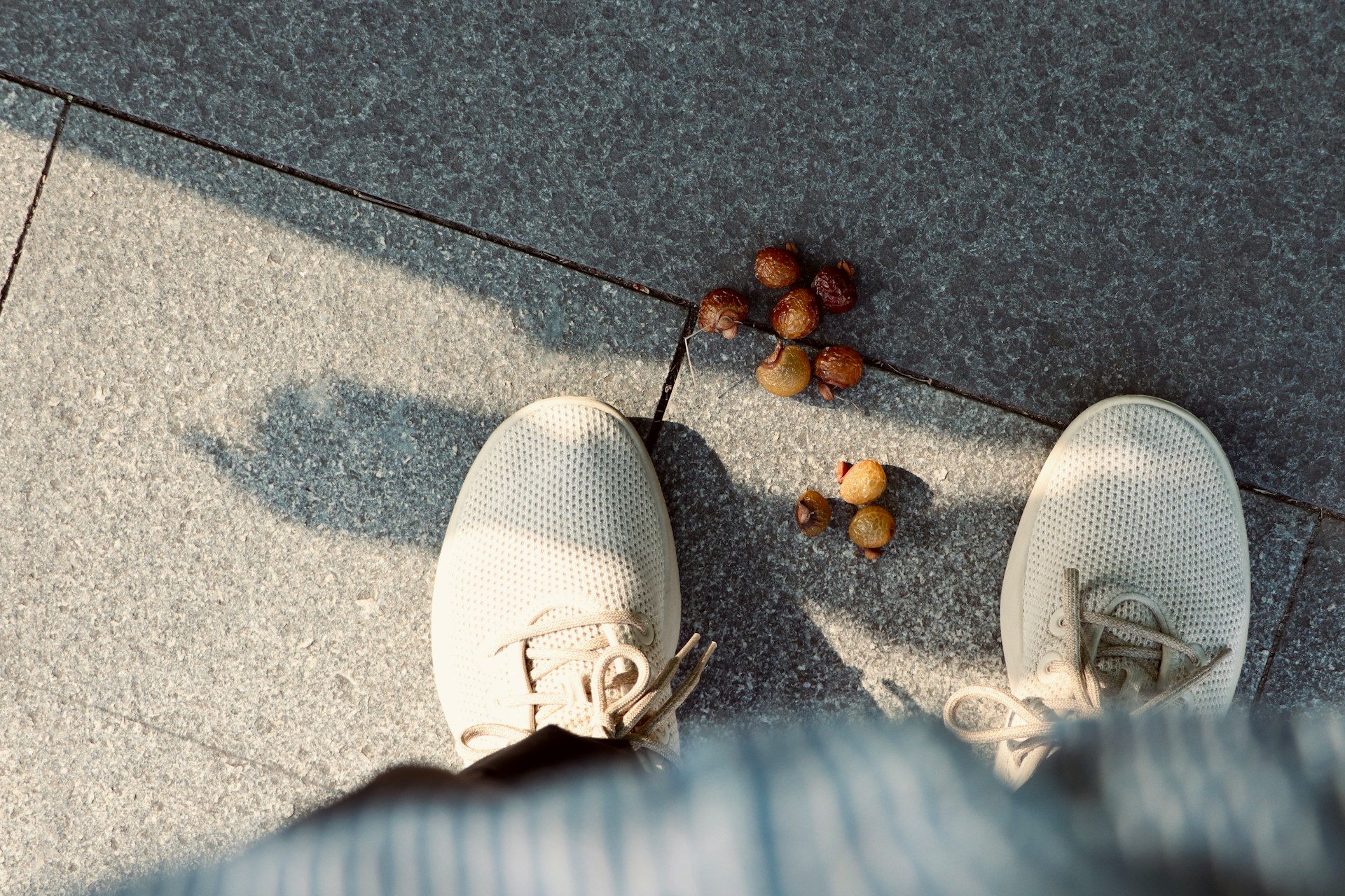 Allbirds Faces Asset Sale Amid Strategic Decline and Brand Misalignment