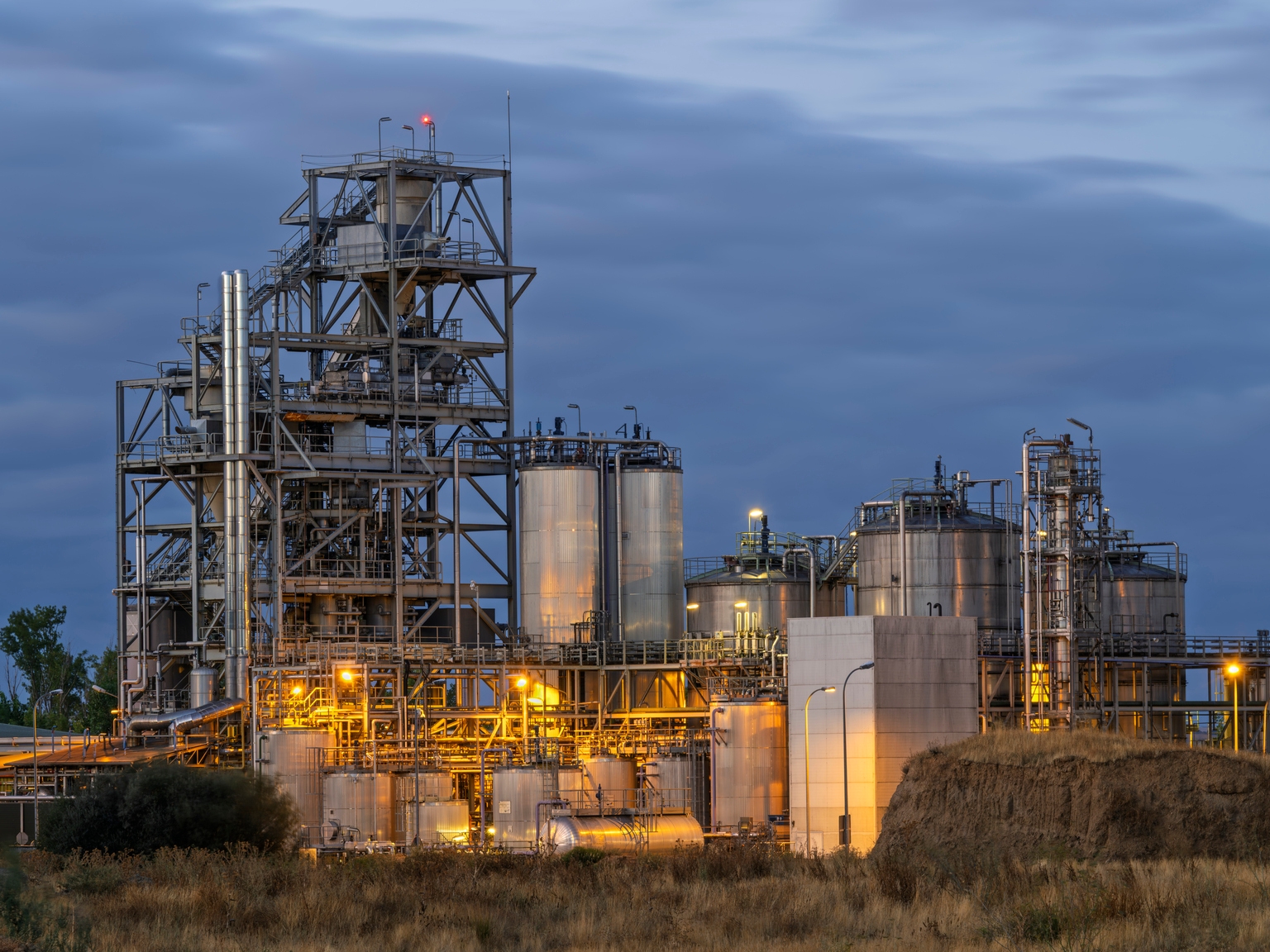 Alto Ingredients: Risk and Reward in the Carbon Capture Pivot