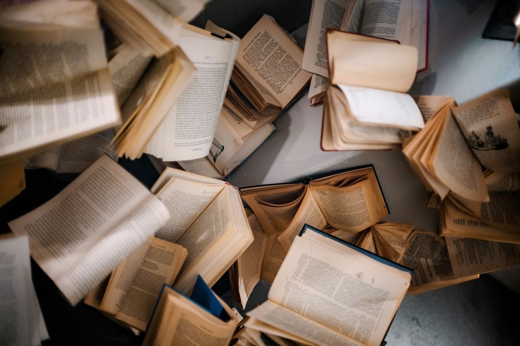 Amazon Joins AI Rivals in Bulk Book Scanning for Training Data