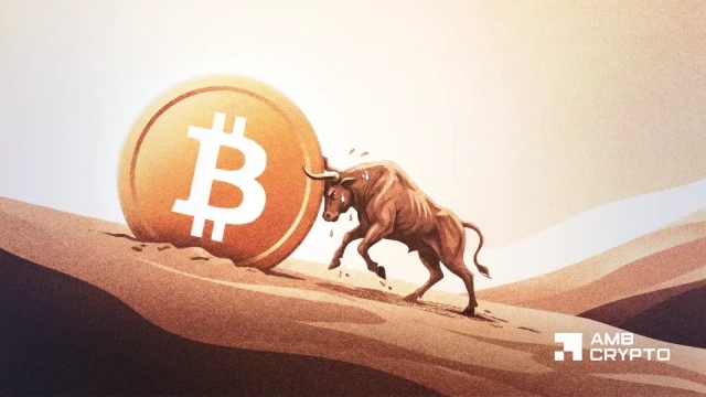 Bitcoin Dominance Masks Underlying Structural Weakness