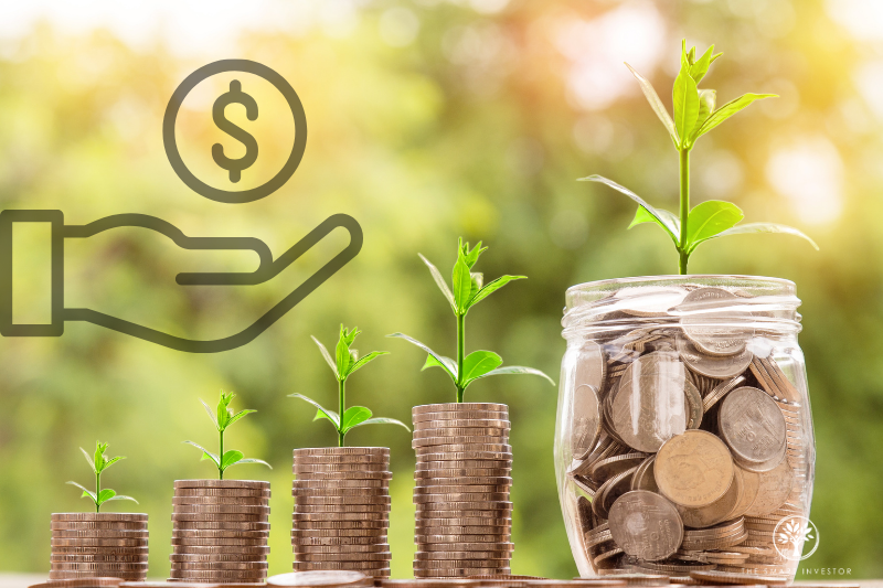 Capital Allocation Strategy: Building a Dividend Floor with S$10,000