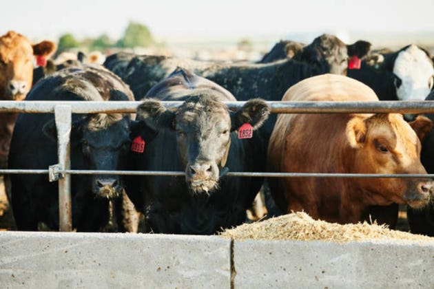 China Halts Hundreds of U.S. Beef Export Licenses After Brief Renewal