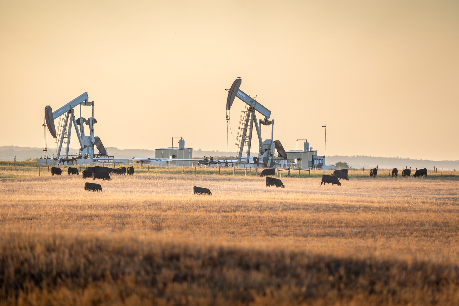 CNQ: Canadian Barrels Earn War Premium as Iran Tensions Spike