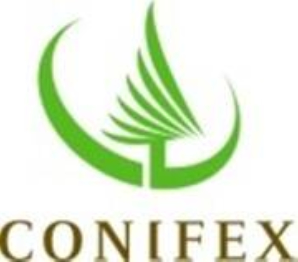 Conifex Timber Elects Directors at AGM
