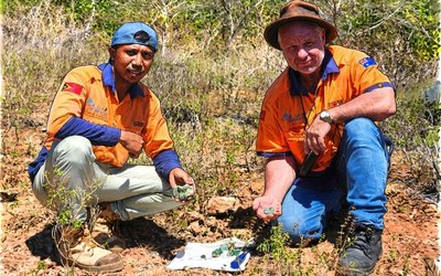 Estrella Finds More Copper at Laleno Dome, Drilling Set for Sept