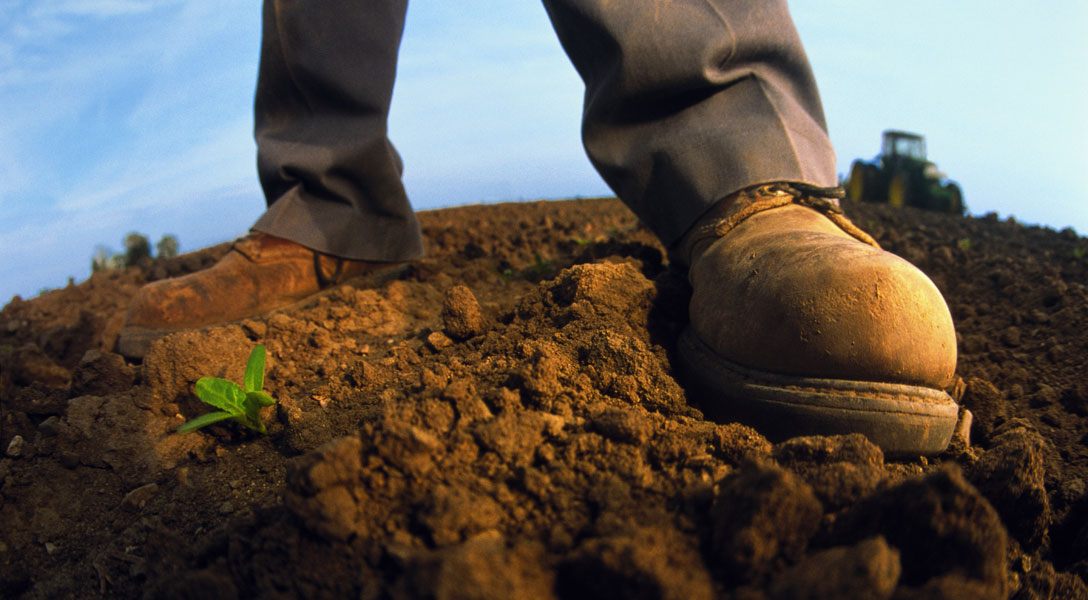 Farm Margins in a Squeeze: El Niño vs. Middle East Costs