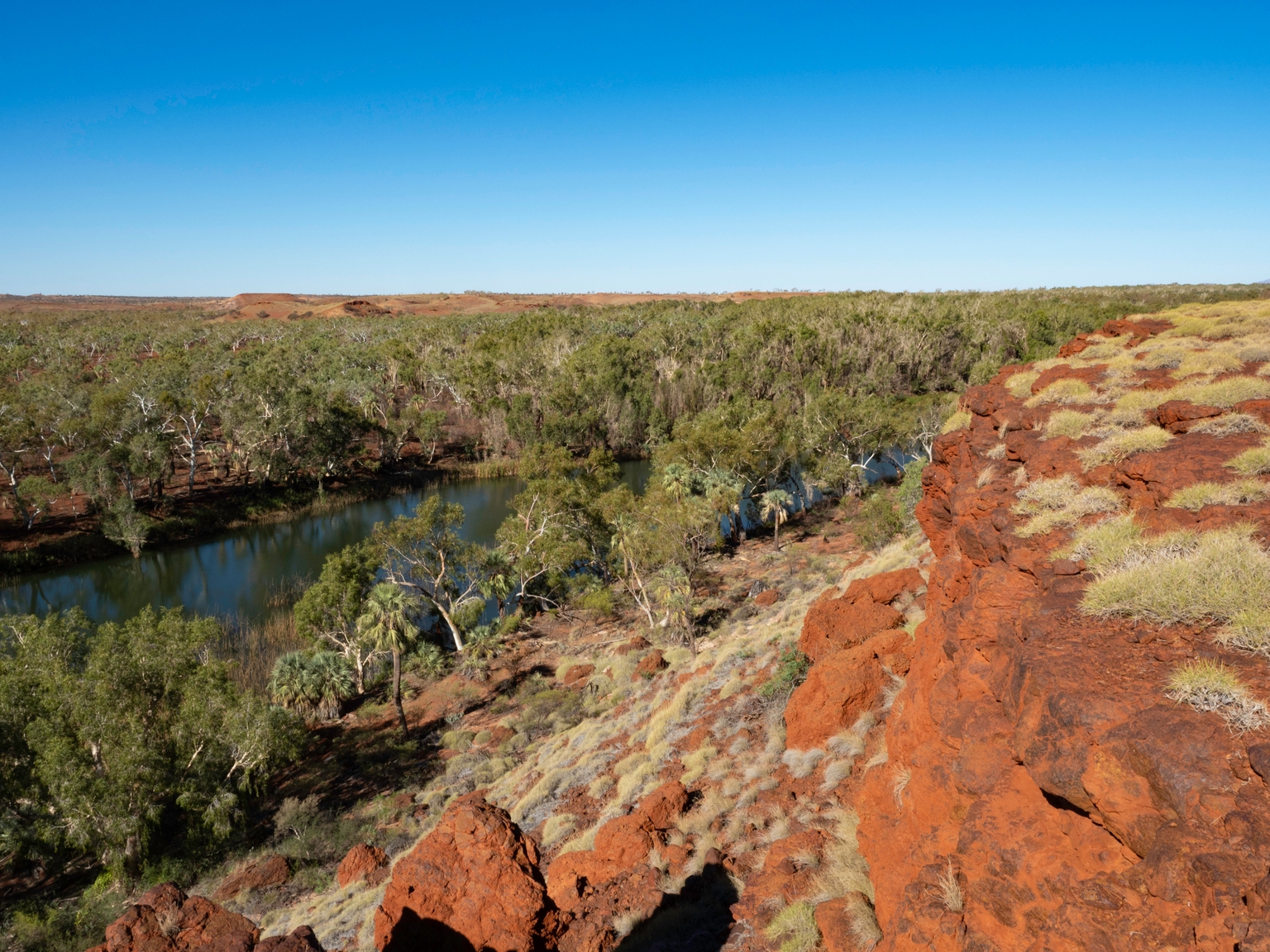 Fortescue Metals Group: Mining Cash Flows Fuel Green Diversification