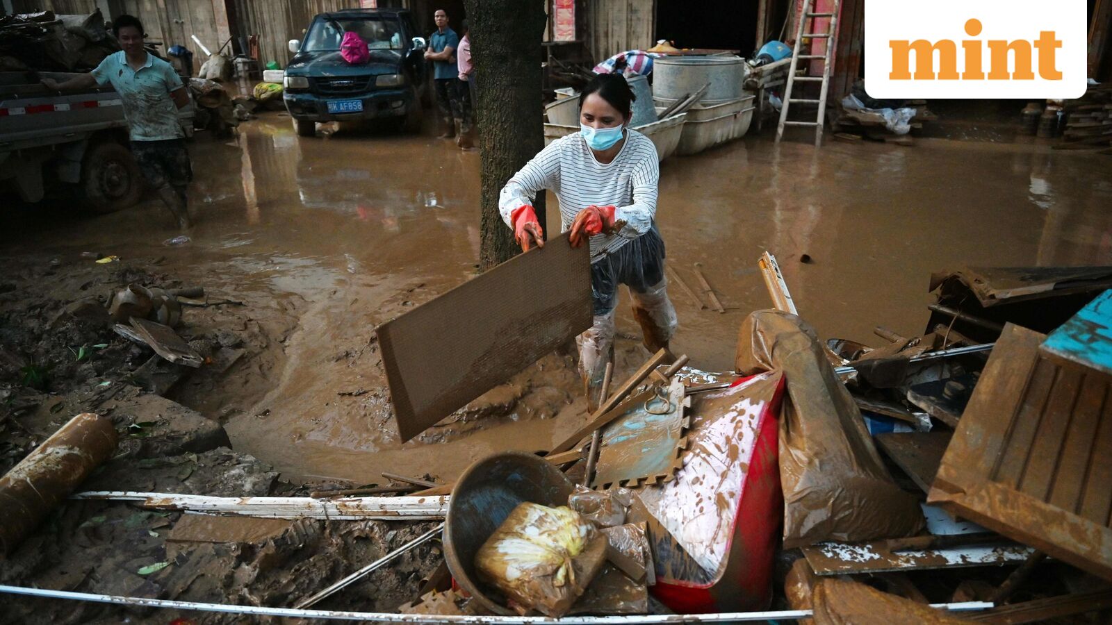 Guangxi Flood Disrupts Snake Farming, Supply Chain at Risk
