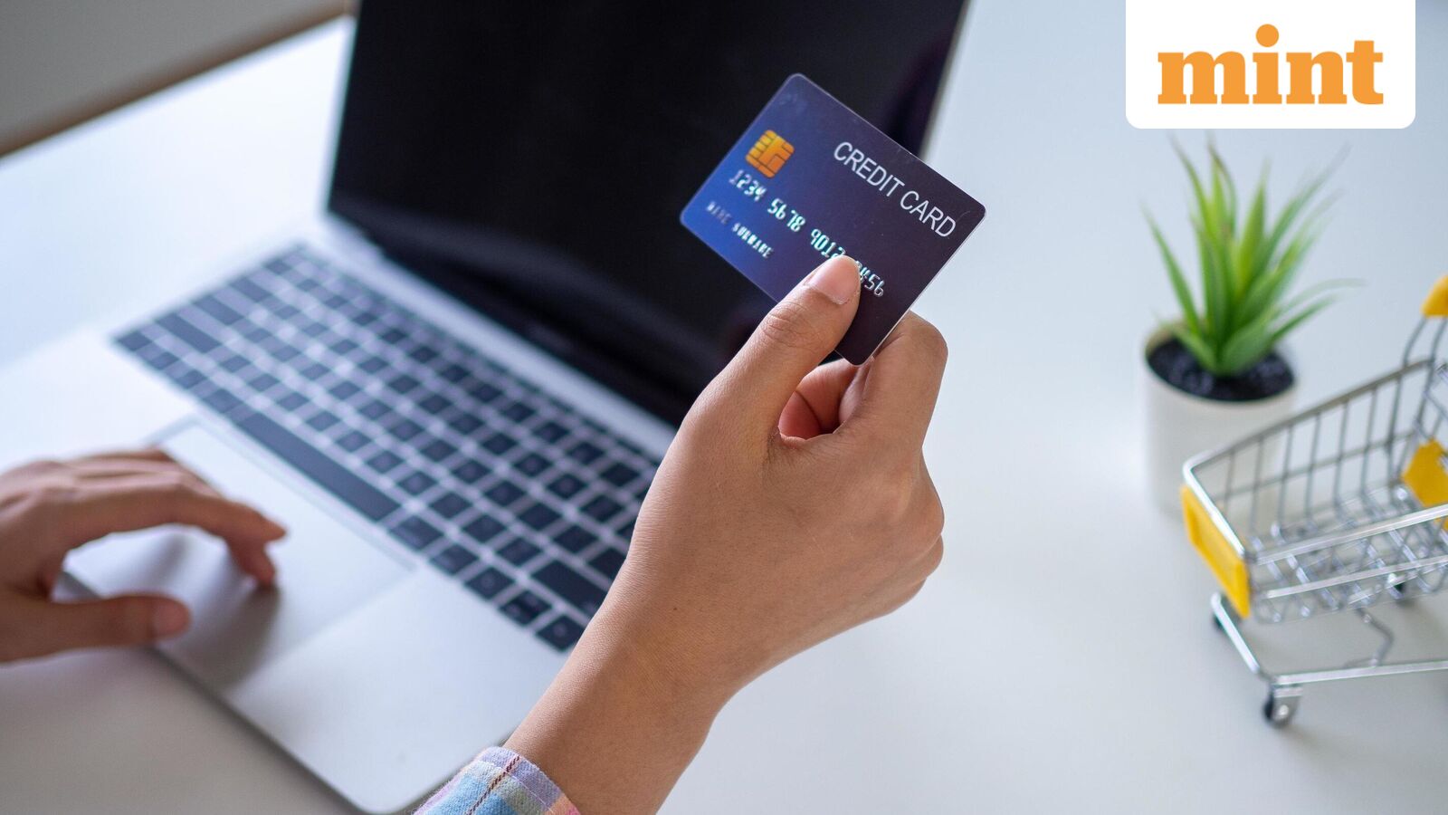 How 30%-48% APRs Drive Credit Card Lender Economics