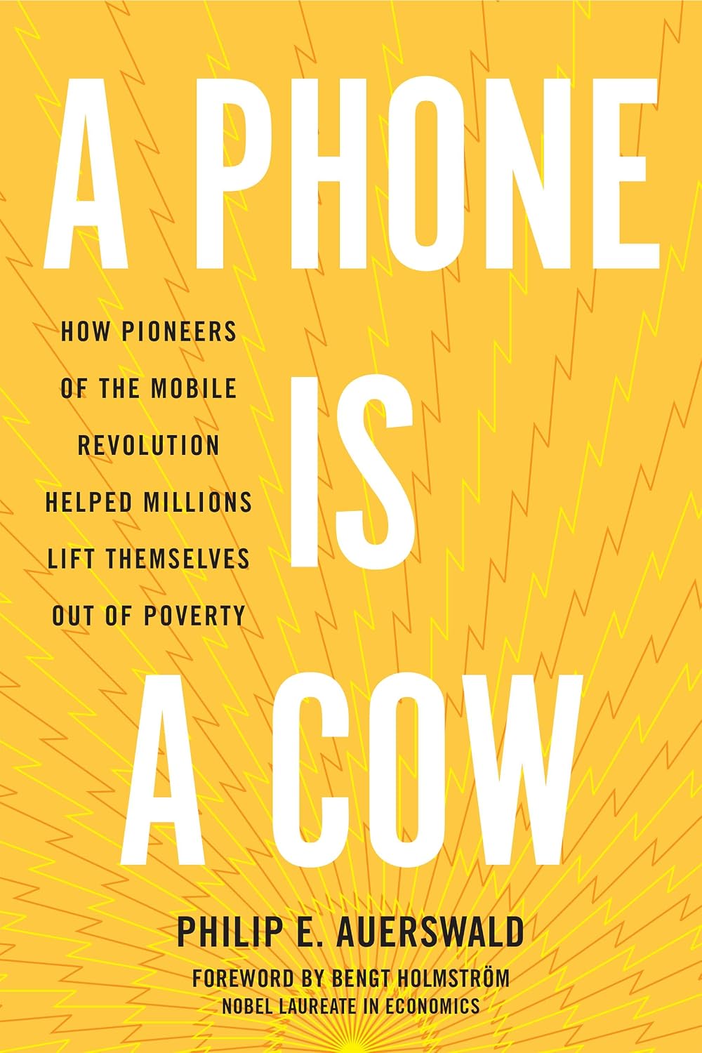 How the Mobile Phone Became a Productive Asset for the World's Poor
