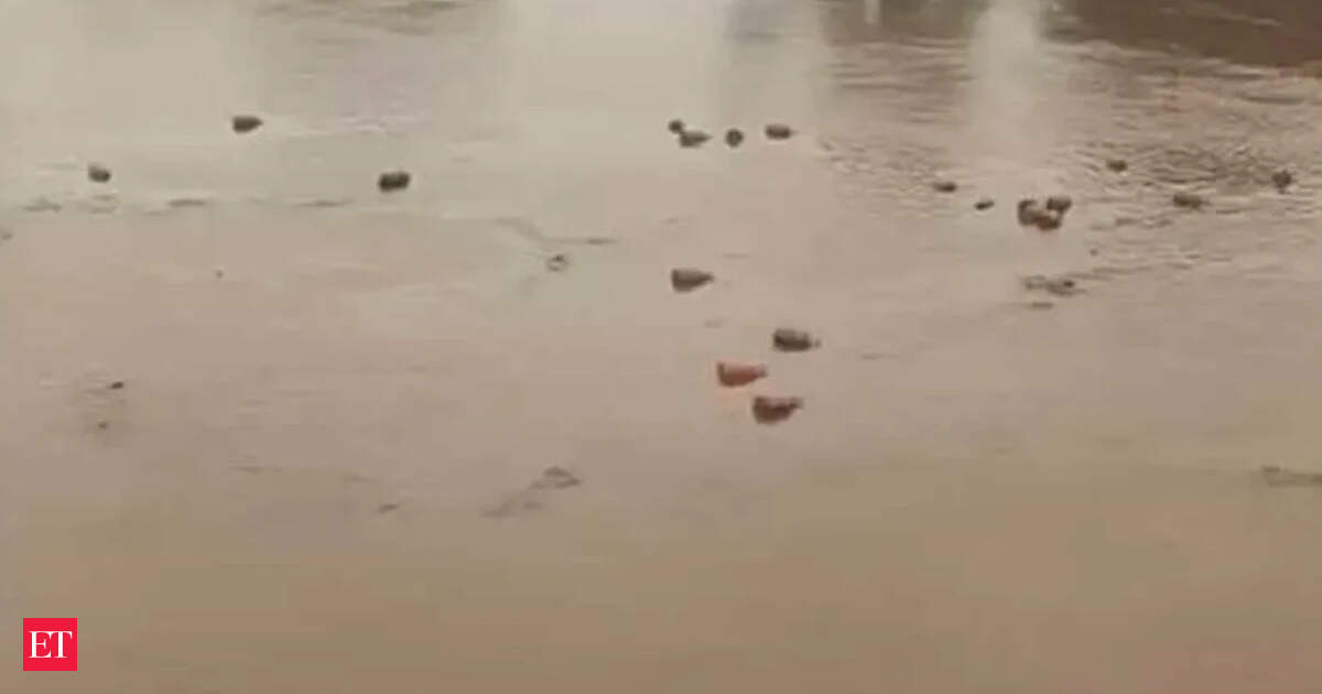 HPCL Plant in Raigad: 3,000 LPG Cylinders Swept Away in Floods