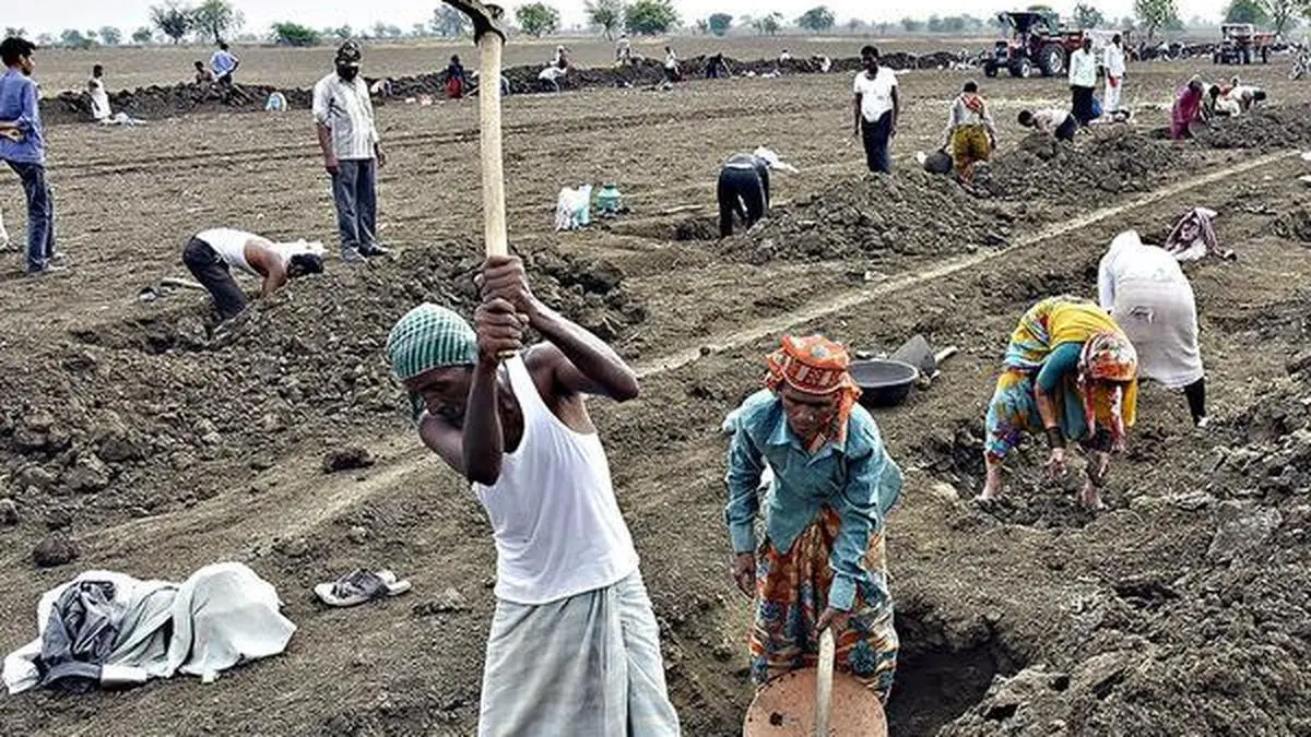 India Sets ₹300/Day Wage Floor Under New Rural Jobs Law