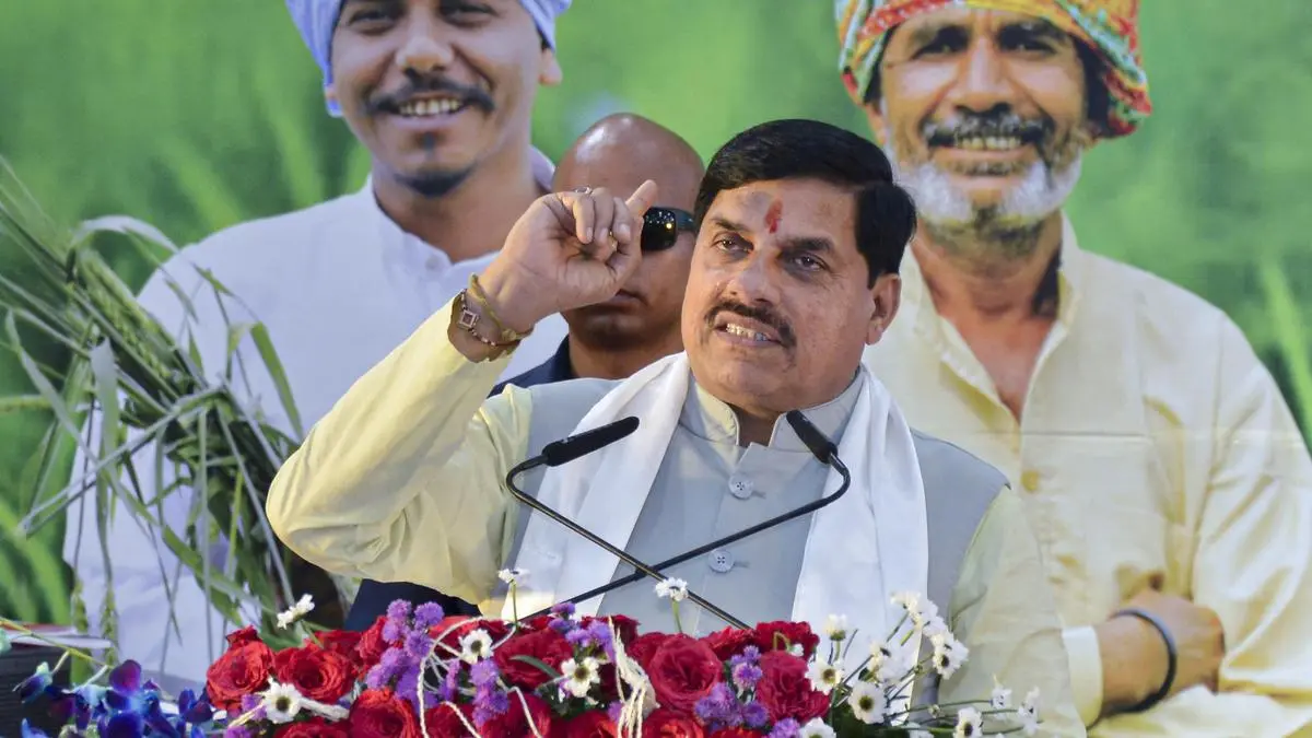 Madhya Pradesh Targets GI Tag for Basmati as Exports Reach 47 Nations