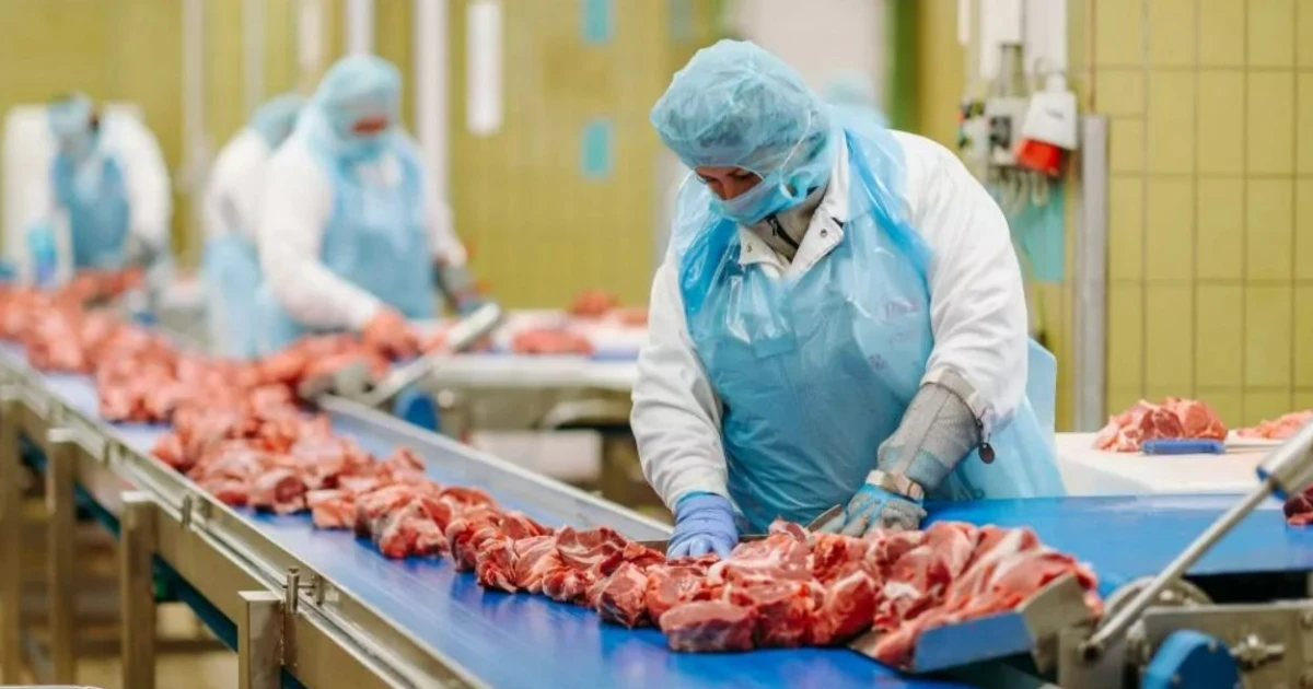 Pick Szeged: nőtt a bevétel, csökkent a profit – a húsipar költségnyomása