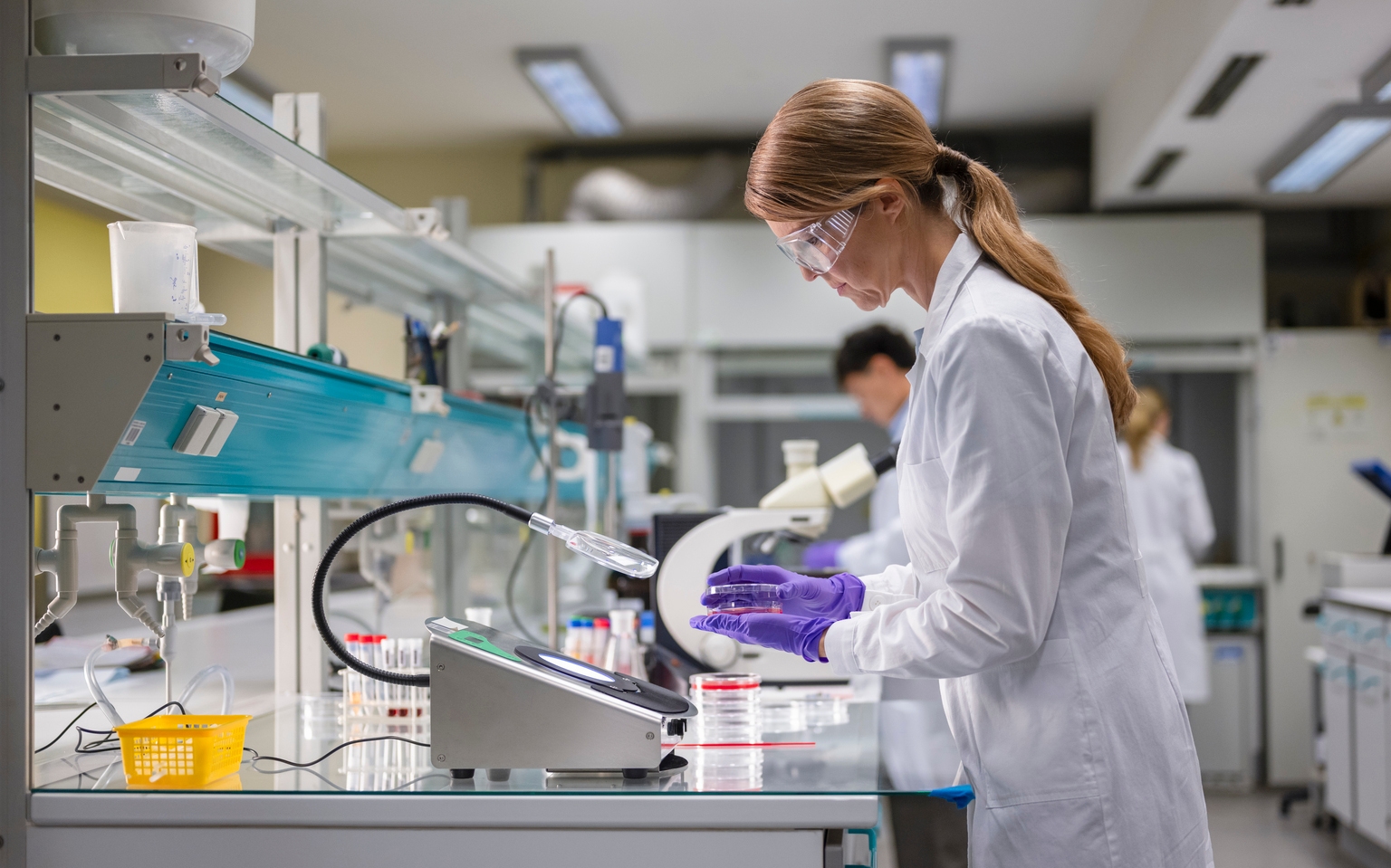 Praxis Precision Medicines Advances Relutrigine Pipeline with Priority Review