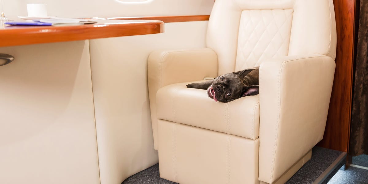 Private Jet Flights Hit 3.9 Million as Ultrawealthy Travel Surges
