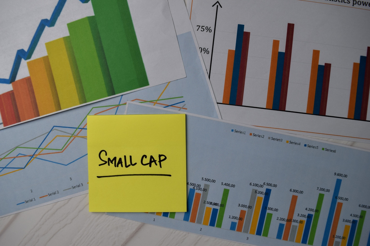 Q2 Small-Cap, Momentum Strategy Pays Off for Calamos Timpani