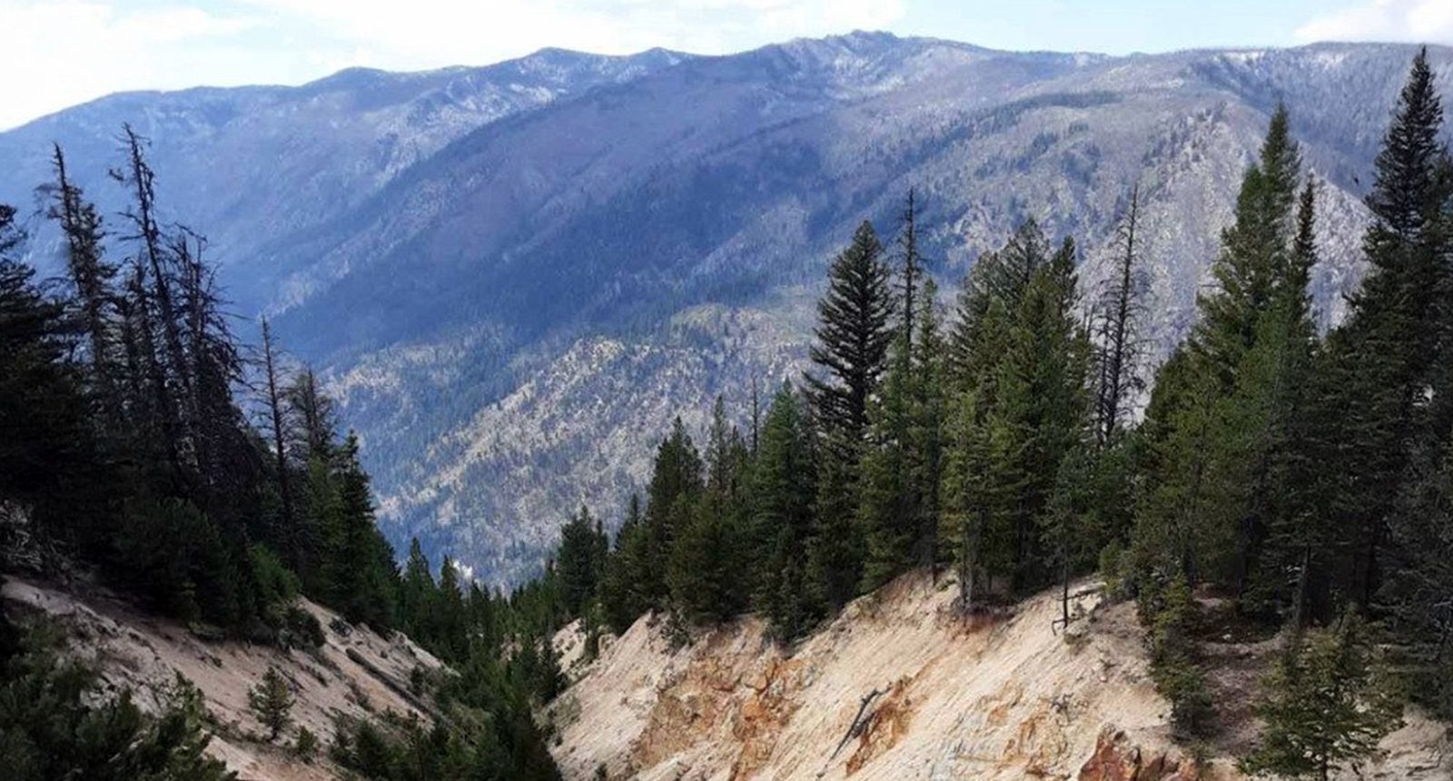 Resolution Hits High-Purity Milestone at Antimony Ridge