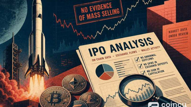 SpaceX IPO: No Evidence of Mass Crypto Sell-Off