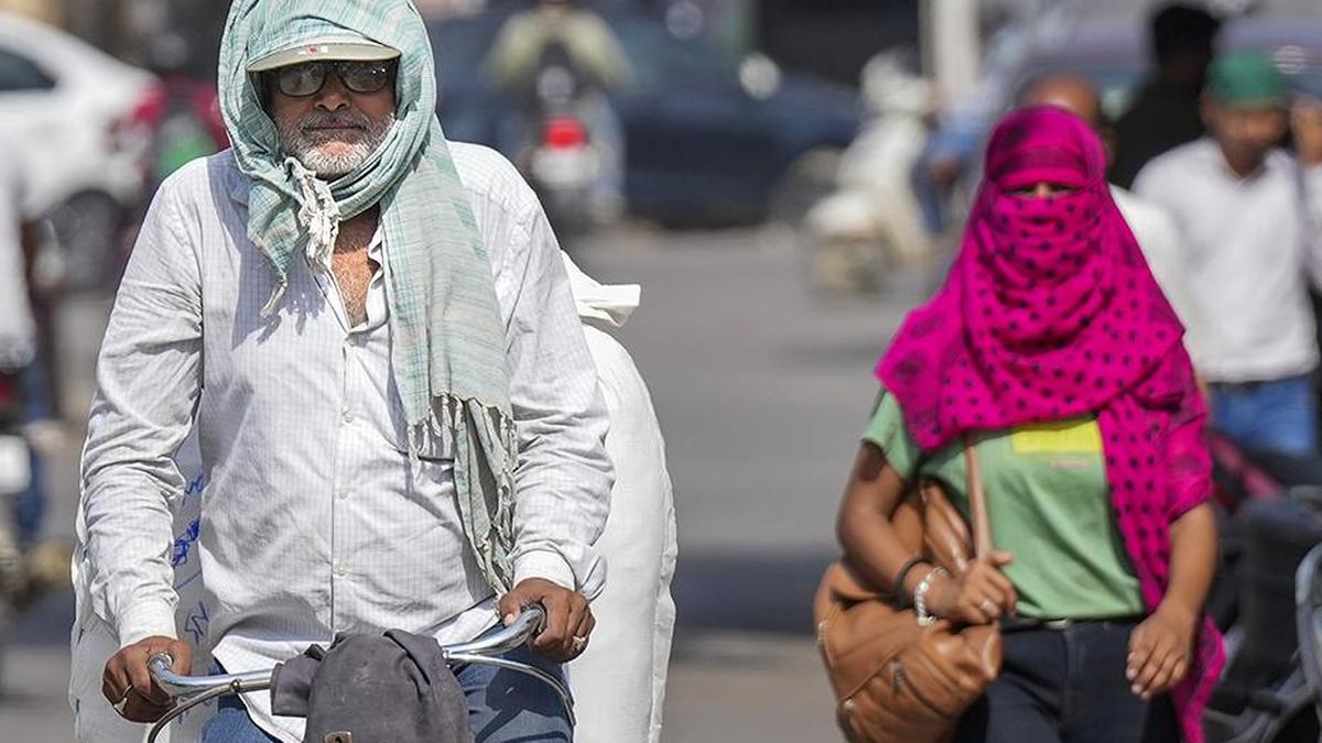 Telangana Heatwave: 16 Dead, ₹4 Lakh Ex-Gratia Announced