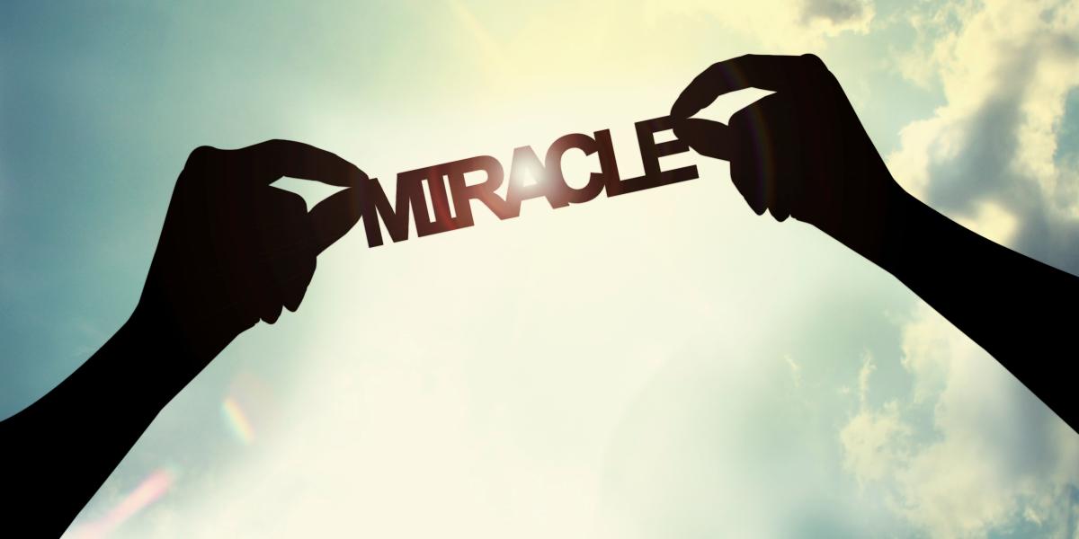 The Market Miracle: Profit Through Voluntary Exchange