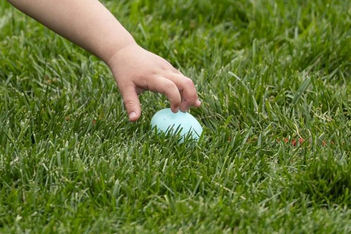 Three Killed as Severe Winds Topple Tree During Easter Egg Hunt
