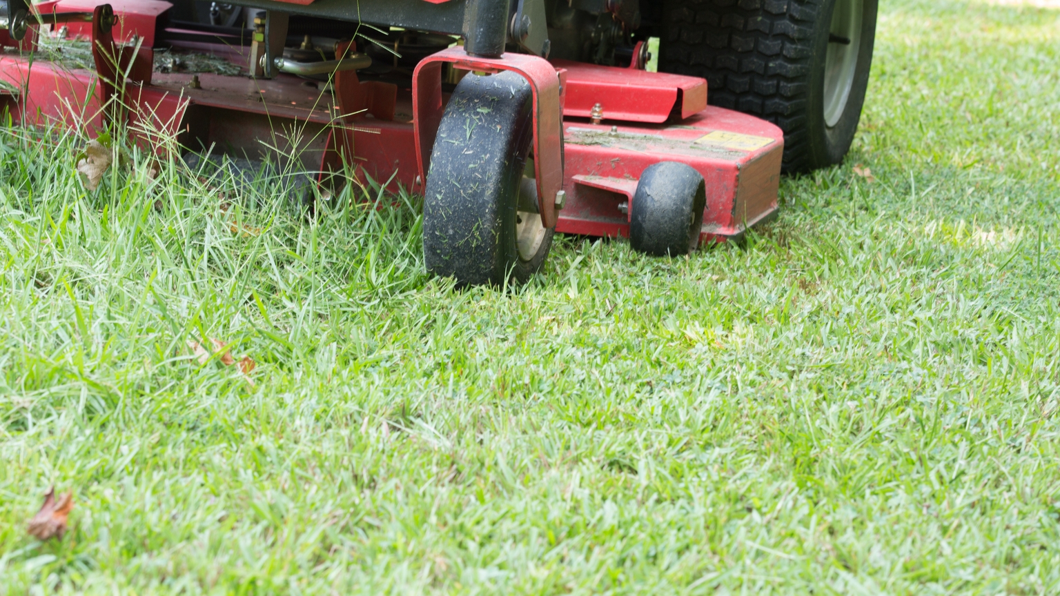 Toro (TTC) Dips 2.3% on Strong Quarter: Why It's Not Cheap Enough