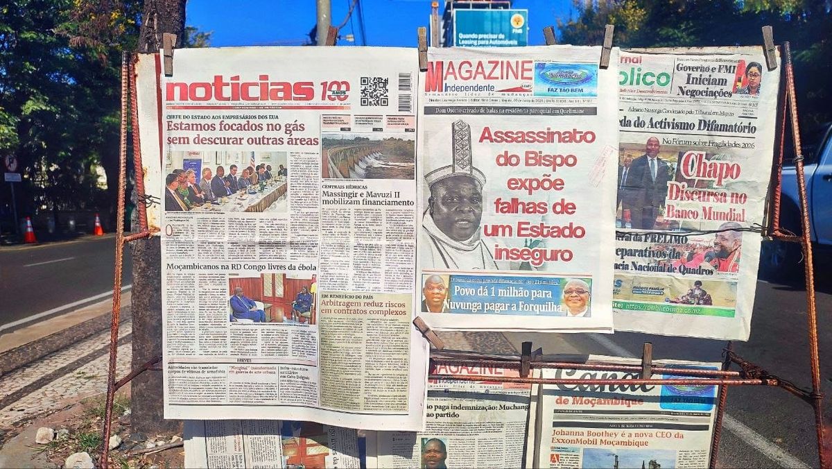 Why Mozambique's Niassa Row Matters for Investors