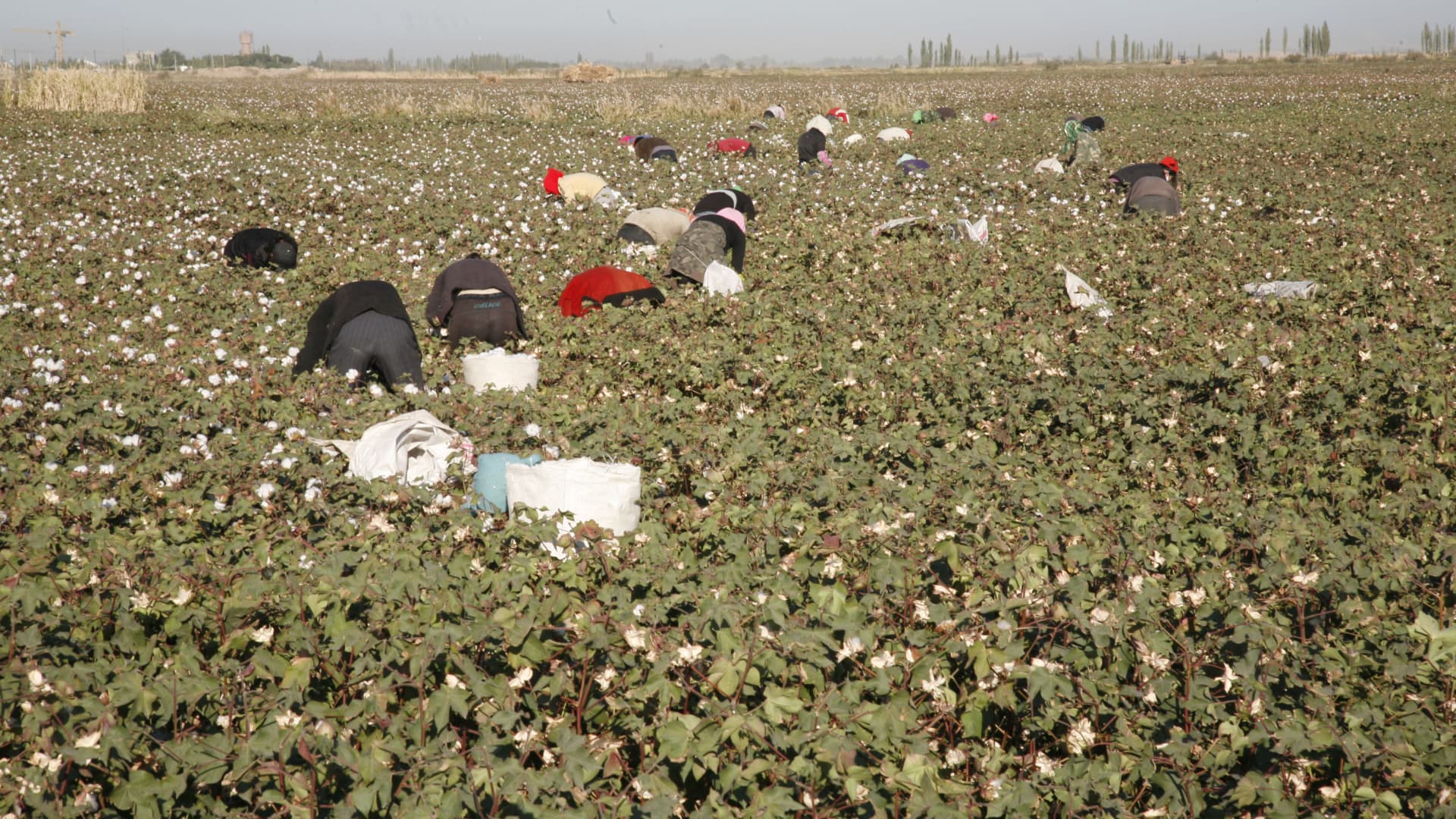 Why USTR's Forced Labor Tariffs Face a Legal Test